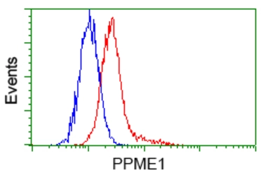 Anti-PPME1 antibody [7F12] used in Flow cytometry (FCM). GTX83847