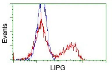 Anti-PIM2 antibody [10A12] used in Flow cytometry (FCM). GTX83886