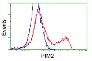 Anti-PIM2 antibody [9A5] used in Flow cytometry (FCM). GTX83892