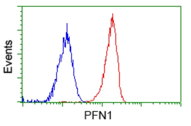 Anti-Profilin 1 antibody [1D5] used in Flow cytometry (FCM). GTX83903