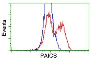 Anti-PAICS antibody [5B6] used in Flow cytometry (FCM). GTX83949