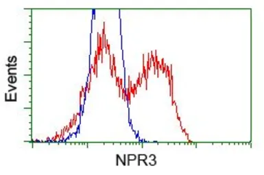 Anti-NPR-C antibody [2G2] used in Flow cytometry (FCM). GTX84008