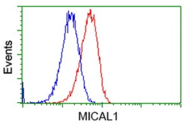 Anti-MICAL1 antibody [6H10] used in Flow cytometry (FCM). GTX84126