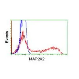 Anti-MEK2 antibody [5F6] used in Flow cytometry (FCM). GTX84166