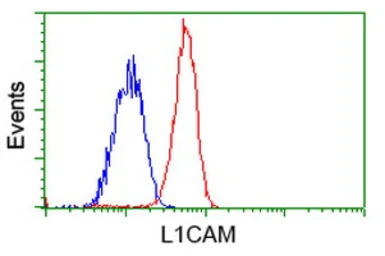 Anti-L1CAM antibody [1A8] used in Flow cytometry (FCM). GTX84236