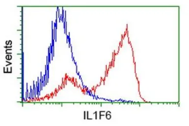 Anti-IL1F6 antibody [1A4] used in Flow cytometry (FCM). GTX84298