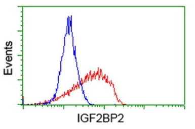 Anti-IGF2BP2 antibody [4F7] used in Flow cytometry (FCM). GTX84309