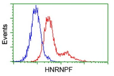 Anti-hnRNP F antibody [5F5] used in Flow cytometry (FCM). GTX84356