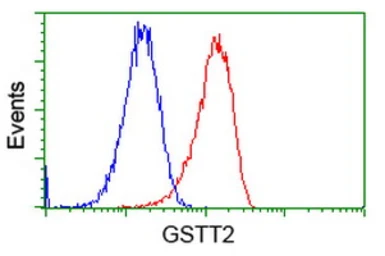 Anti-GSTT2 antibody [2E3] used in Flow cytometry (FCM). GTX84400