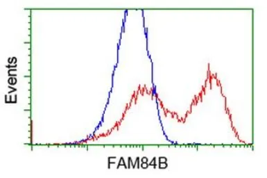 Anti-FAM84B antibody [2E7] used in Flow cytometry (FCM). GTX84524
