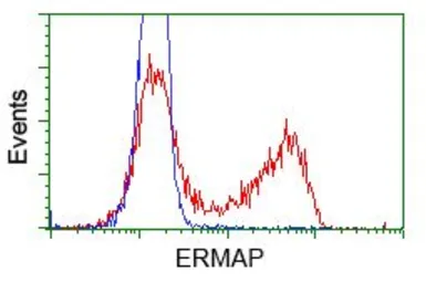 Anti-ERMAP antibody [C8] used in Flow cytometry (FCM). GTX84543