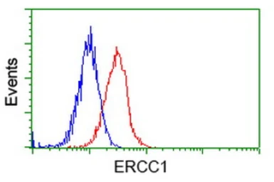 Anti-ERCC1 antibody [1B3] used in Flow cytometry (FCM). GTX84546