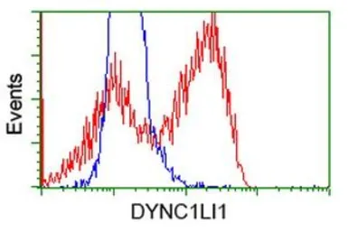 Anti-DYNC1LI1 antibody [1B9] used in Flow cytometry (FCM). GTX84596