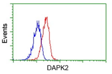 Anti-DAP Kinase 2 antibody [1C5] used in Flow cytometry (FCM). GTX84631