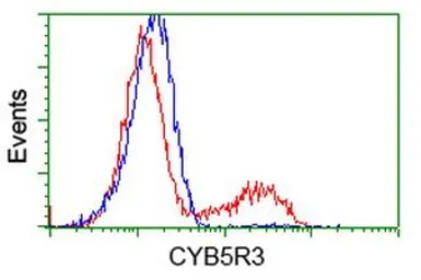 Anti-CYB5R3 antibody [1E3] used in Flow cytometry (FCM). GTX84645