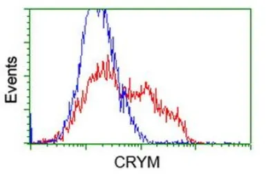 Anti-CRYM antibody [1G7] used in Flow cytometry (FCM). GTX84654