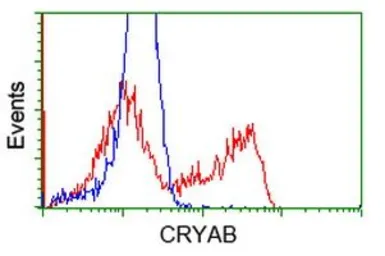 Anti-alpha B Crystallin antibody [3C2] used in Flow cytometry (FCM). GTX84661