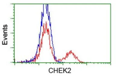 Anti-Chk2 antibody [2F4] used in Flow cytometry (FCM). GTX84685