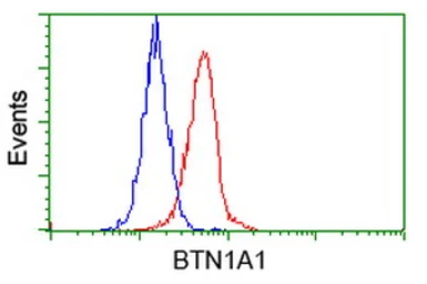 Anti-BTN1A1 antibody [3A12] used in Flow cytometry (FCM). GTX84780