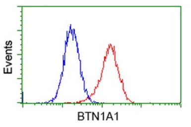 Anti-BTN1A1 antibody [7B5] used in Flow cytometry (FCM). GTX84781