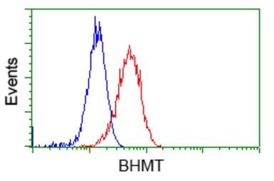 Anti-BHMT antibody [10B3] used in Flow cytometry (FCM). GTX84827