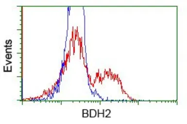 Anti-BDH2 antibody [4G4] used in Flow cytometry (FCM). GTX84833