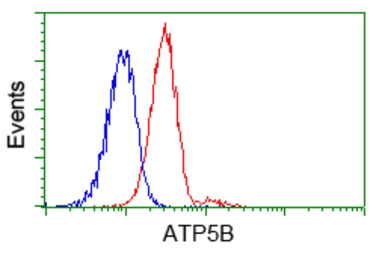 Anti-ATP5B antibody [7F4] used in Flow cytometry (FCM). GTX84843