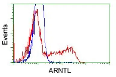 Anti-BMAL1 antibody [3G9] used in Flow cytometry (FCM). GTX84851