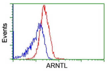 Anti-BMAL1 antibody [1D1] used in Flow cytometry (FCM). GTX84853