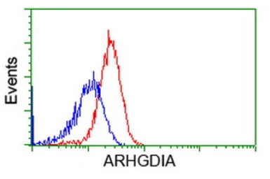 Anti-Rho GDI alpha antibody [1F2] used in Flow cytometry (FCM). GTX84859