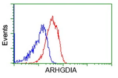 Anti-Rho GDI alpha antibody [1F2] used in Flow cytometry (FCM). GTX84859