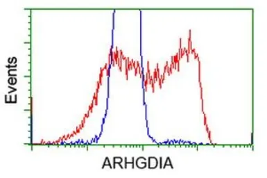 Anti-Rho GDI alpha antibody [1F2] used in Flow cytometry (FCM). GTX84859