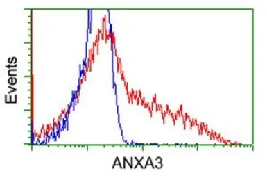 Anti-Annexin III antibody [1A9] used in Flow cytometry (FCM). GTX84883