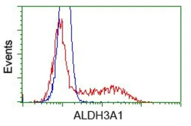 Anti-ALDH3A1 antibody [1B6] used in Flow cytometry (FCM). GTX84889
