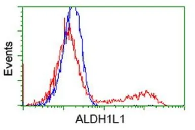 Anti-ALDH1L1 antibody [5G8] used in Flow cytometry (FCM). GTX84892