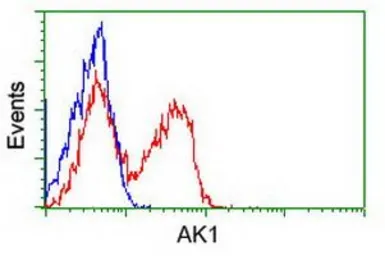 Anti-Adenylate kinase 1 antibody [4A1] used in Flow cytometry (FCM). GTX84936