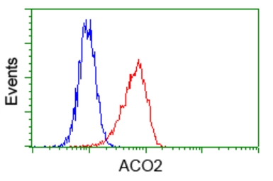 Anti-Aconitase 2 antibody [7A11] used in Flow cytometry (FCM). GTX84966