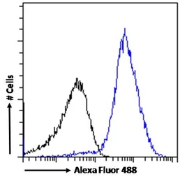 Anti-PD-L1 antibody, C-term used in Flow cytometry (FCM). GTX89590