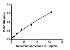 Mouse CD47 protein, His tag. GTX00311-pro