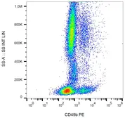 Anti-Integrin alpha 2 antibody [AK7] (PE) used in Flow cytometry (FCM). GTX00462-08