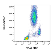 Anti-CD64 antibody [10.1] (FITC) used in Flow cytometry (FCM). GTX00467-06