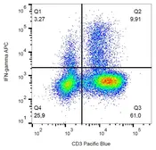 Anti-Interferon gamma antibody [4S.B3] (APC) used in Flow cytometry (FCM). GTX00484-07