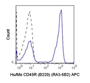 Anti-CD45R antibody [RA3-6B2] (APC) used in Flow cytometry (FCM). GTX00486-07