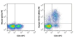 Anti-CTLA4 antibody [BNI3] (PE) used in Flow cytometry (FCM). GTX00492-08