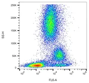 Anti-CD39 antibody [TU66] used in Flow cytometry (FCM). GTX00533