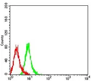Anti-KIR3DL1 antibody [6D9A4] used in Flow cytometry (FCM). GTX00648