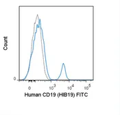 Anti-CD19 antibody [HIB19] (FITC) used in Flow cytometry (FCM). GTX01455-06