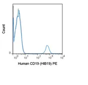 Anti-CD19 antibody [HIB19] (PE) used in Flow cytometry (FCM). GTX01455-08