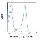 Anti-CD27 antibody [O323] (PE) used in Flow cytometry (FCM). GTX01457-08