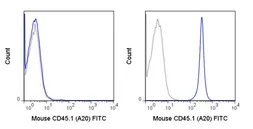 Anti-CD45.1 antibody [A20] (FITC) used in Flow cytometry (FCM). GTX01463-06